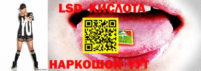 индика Изобильный