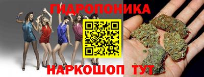 эйфоретик Камышлов