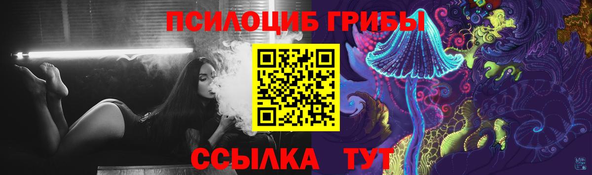Псилоцибиновые грибы Magic Shrooms  Галлюциногенные грибы Psilocybine cubensis  Кулебаки  Вход с VPN 